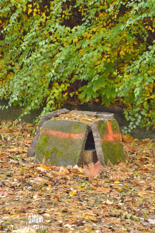 Tu stanie pomnik Zbigniewa Herberta