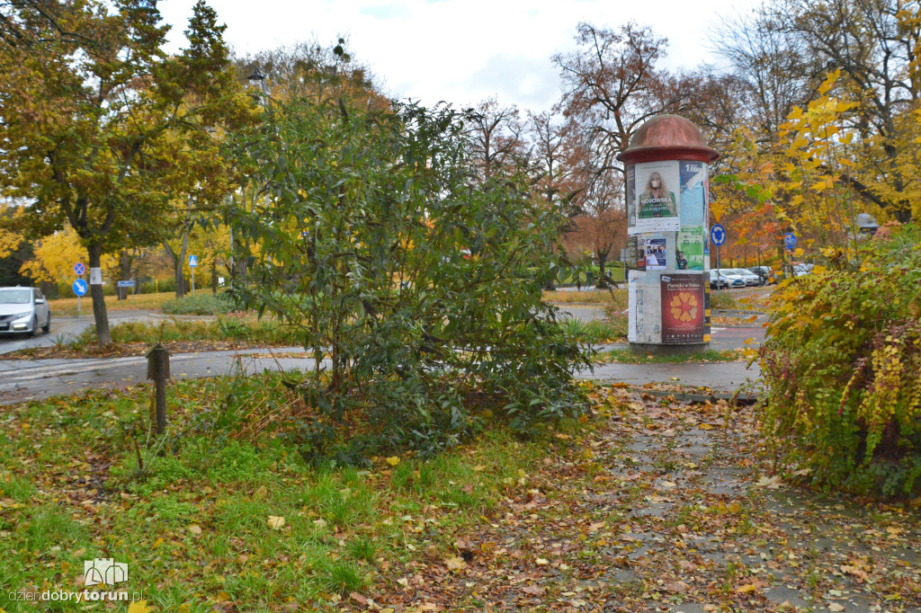 Tu stanie pomnik Zbigniewa Herberta