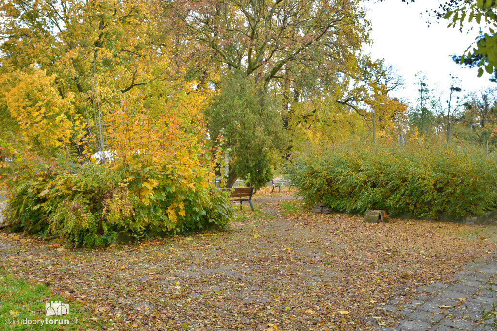 Tu stanie pomnik Zbigniewa Herberta