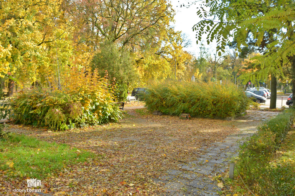Tu stanie pomnik Zbigniewa Herberta