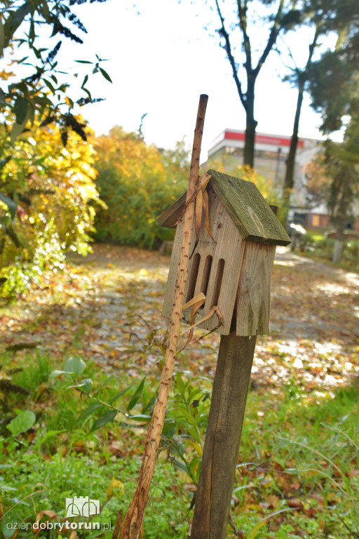 Tu stanie pomnik Zbigniewa Herberta