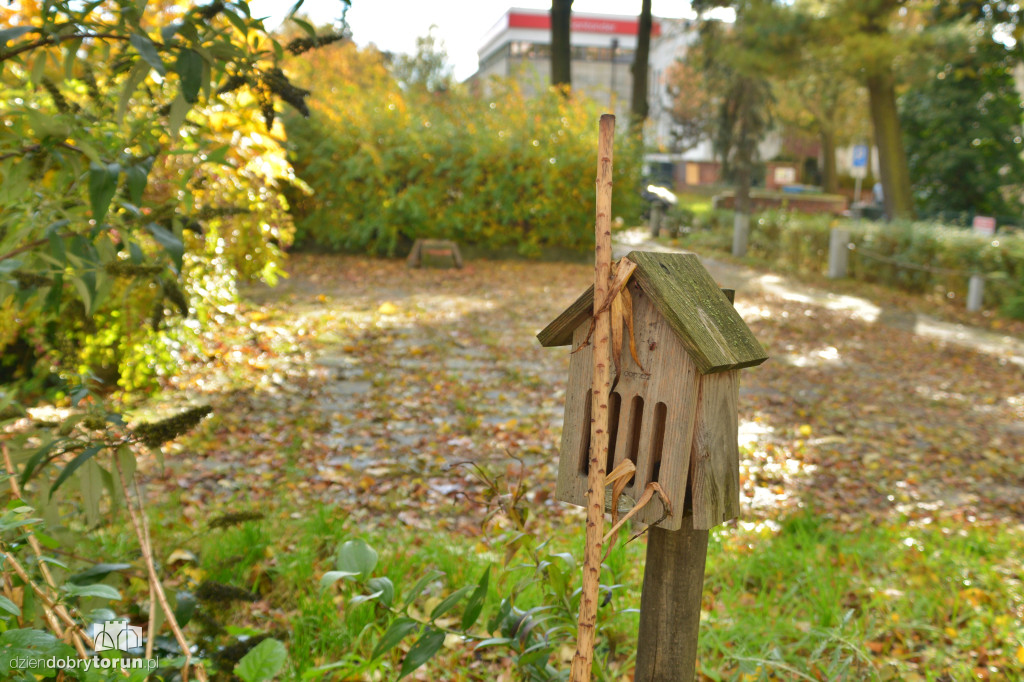 Tu stanie pomnik Zbigniewa Herberta