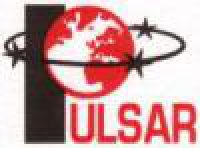 Logo firmy Pulsar