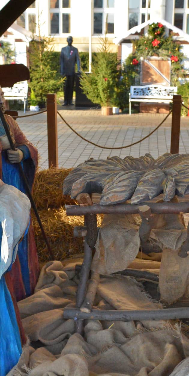 Fot. Daniel Wiśniewski