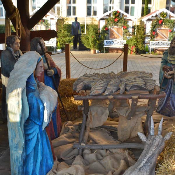 Fot. Daniel Wiśniewski