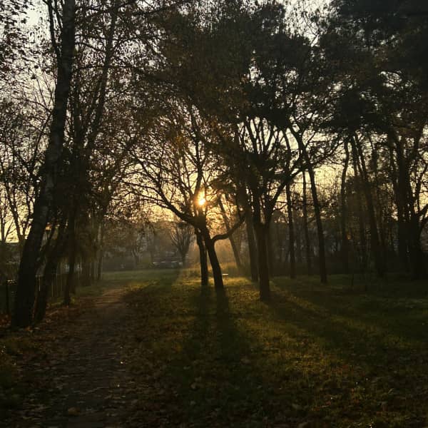 siecportali.pl | ddwloclawek.pl