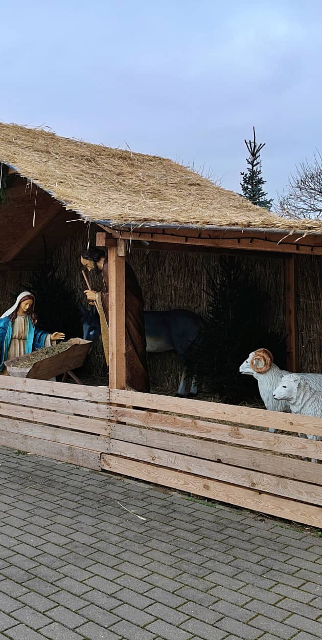 Fot. Daniel Wiśniewski