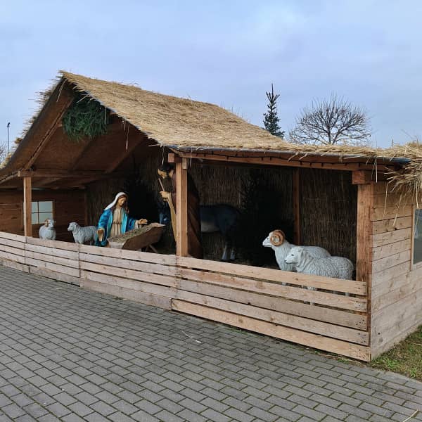 Fot. Daniel Wiśniewski