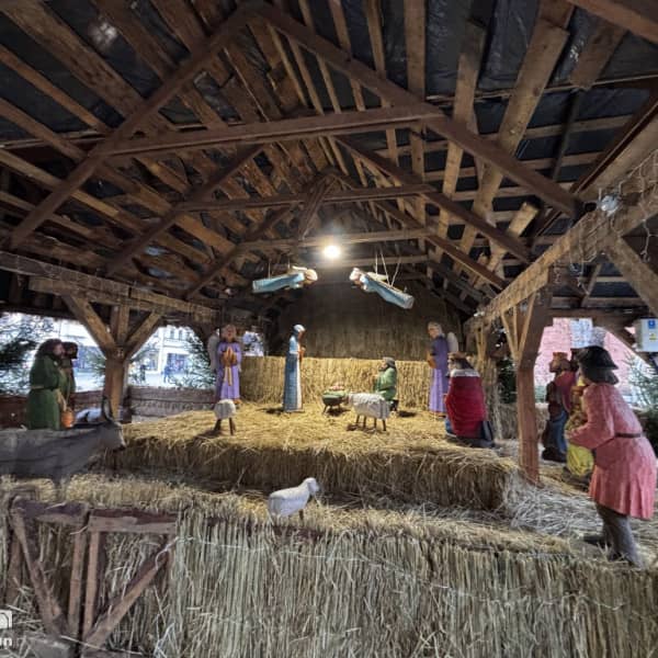 Fot: Weronika Polichnowska 