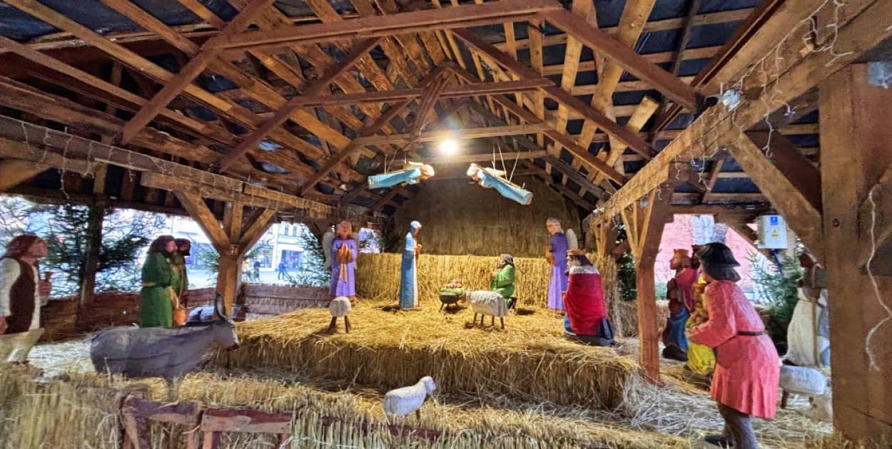 Fot: Weronika Polichnowska 