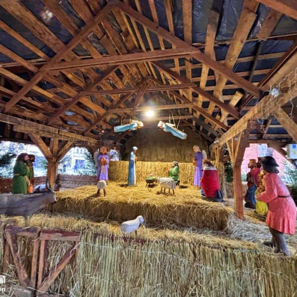 Fot: Weronika Polichnowska 