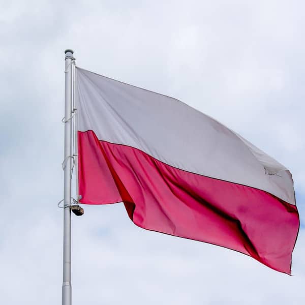 Obraz Tomek z Pixabay