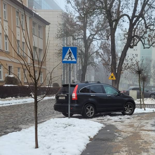 Fot. Toruńskie Święte Krowy