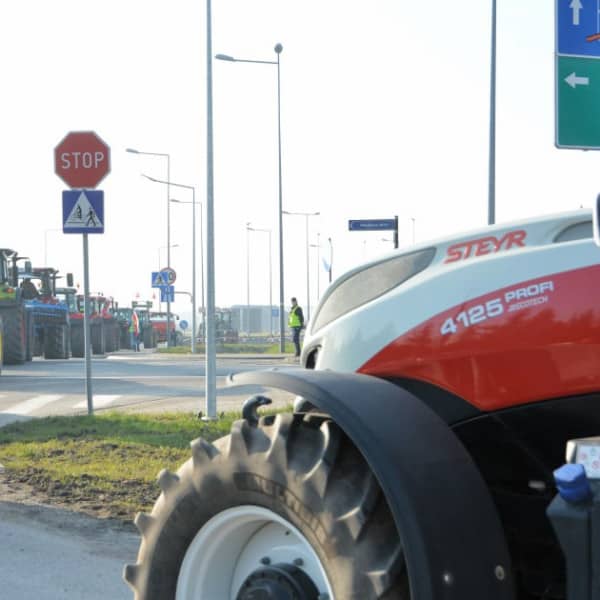 Fot. ddwloclawek.pl / siecportali.pl