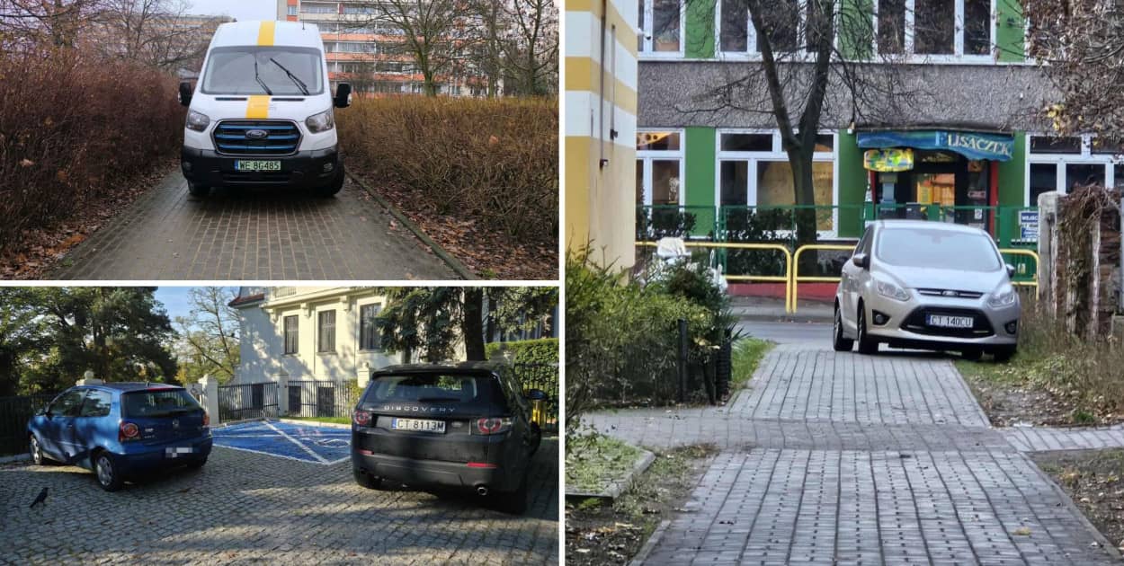 Fot. Toruńskie Święte Krowy