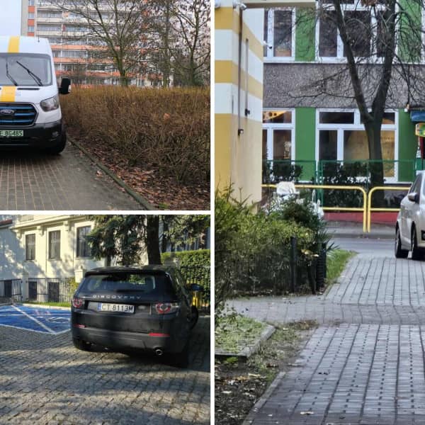 Fot. Toruńskie Święte Krowy