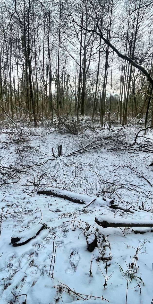 Fot. Daniel Wiśniewski