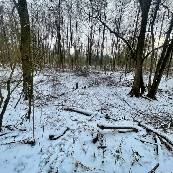 Fot. Daniel Wiśniewski