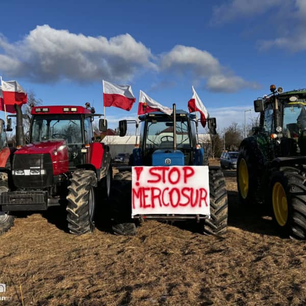 Archiwum DD Toruń. Fot. Weronika Polichnowska