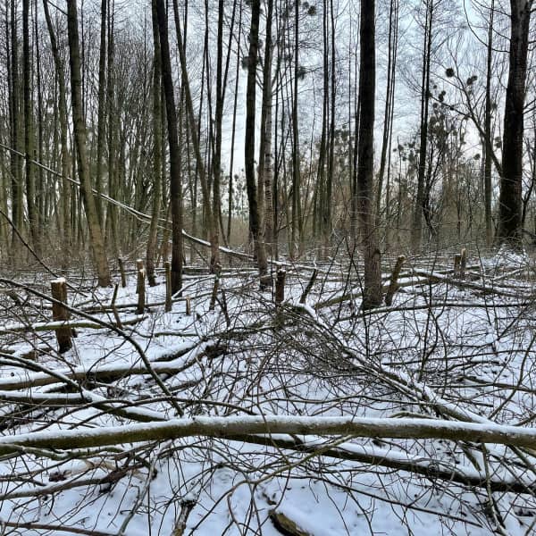 Fot. Daniel Wiśniewski