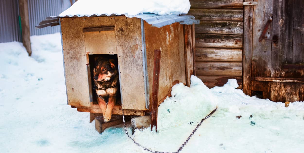 Zdjęcie ilustracyjne. Depositphotos