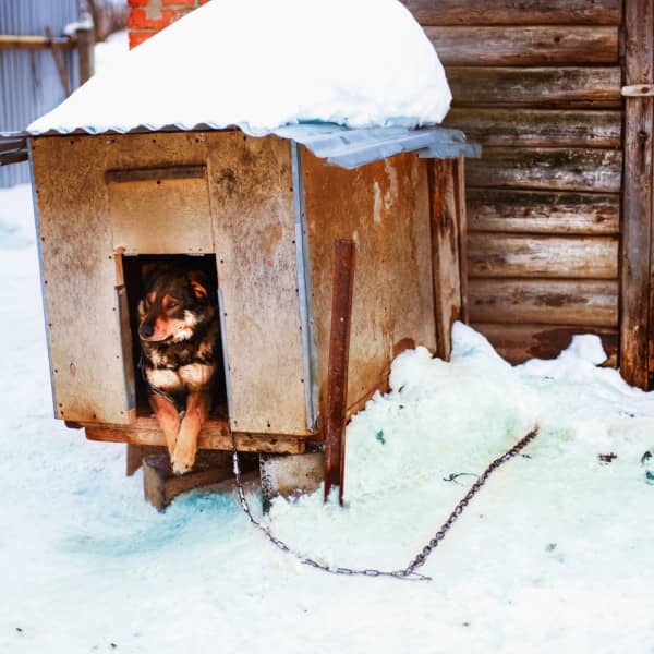 Zdjęcie ilustracyjne. Depositphotos