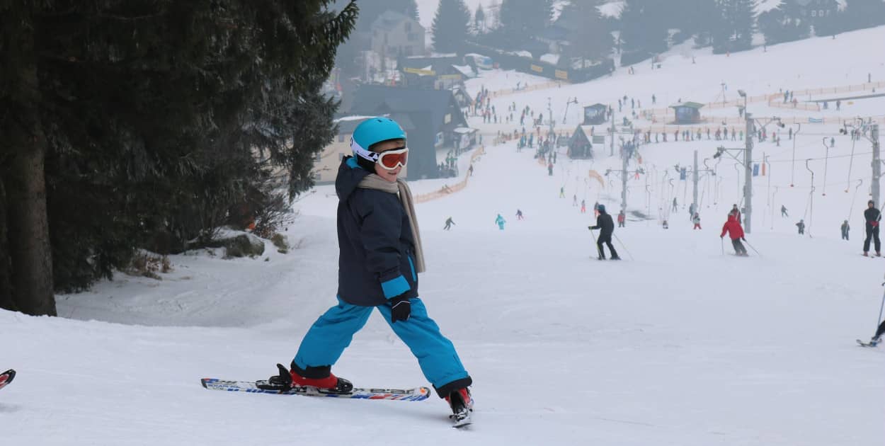 Obraz Vitaliy Shmidt z Pixabay