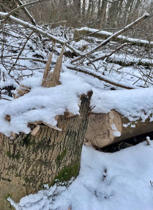 Zdjęcie ilustracyjne. Fot. Daniel Wiśniewski