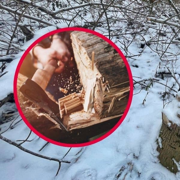 Zdjęcie ilustracyjne. Fot. Daniel Wiśniewski