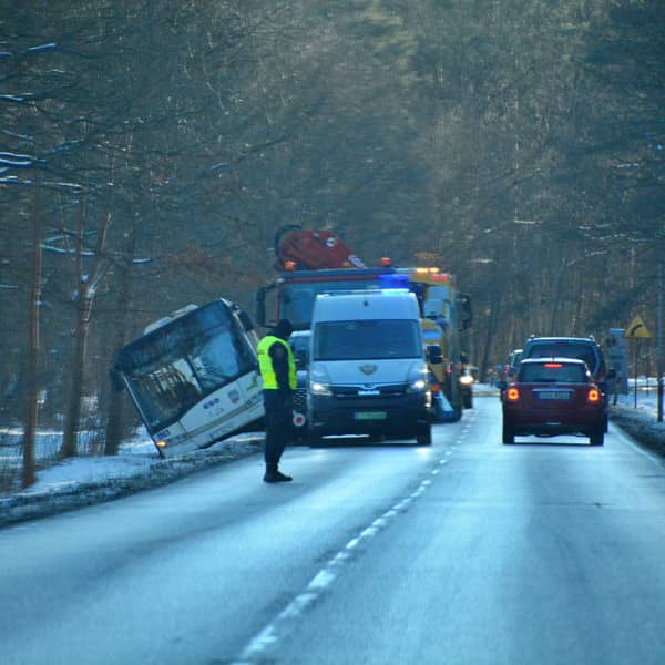 Fot. Redakcja DD Toruń