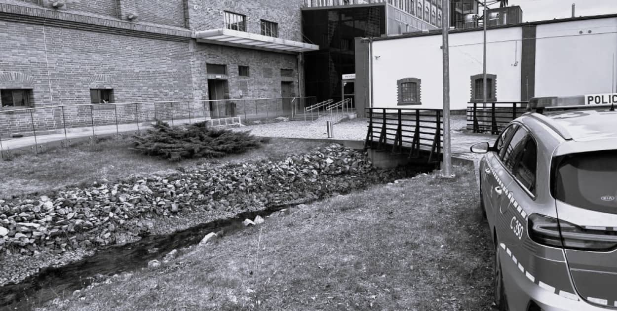 Fot: Weronika Polichnowska 