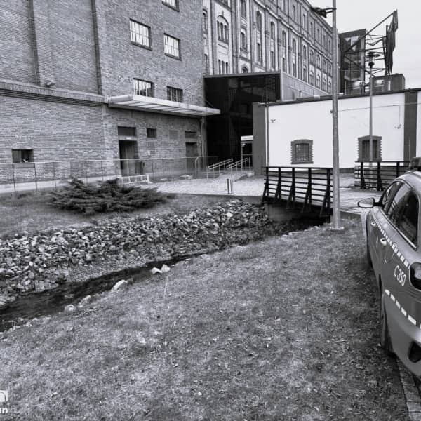 Fot: Weronika Polichnowska 