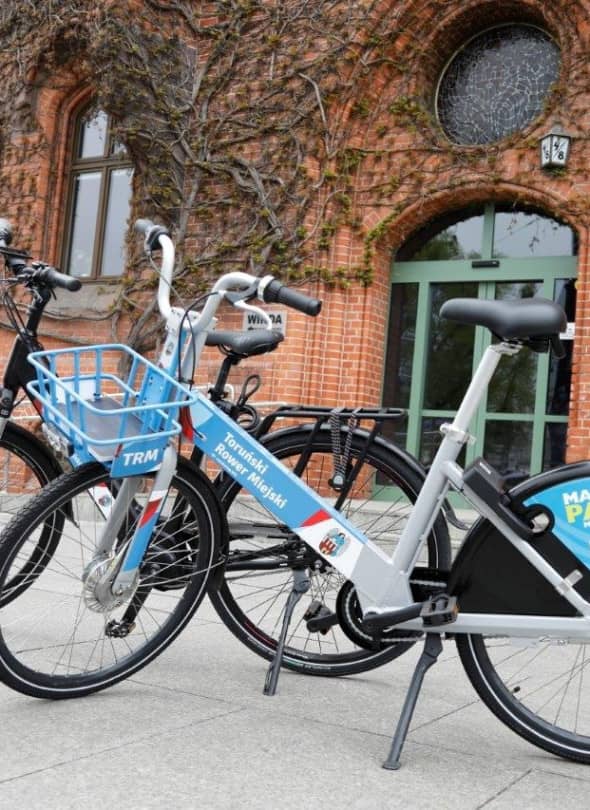 Fot. © UMT 2025, autor: Magdalena Winiarska, licencja: CC BY-NC 4.0