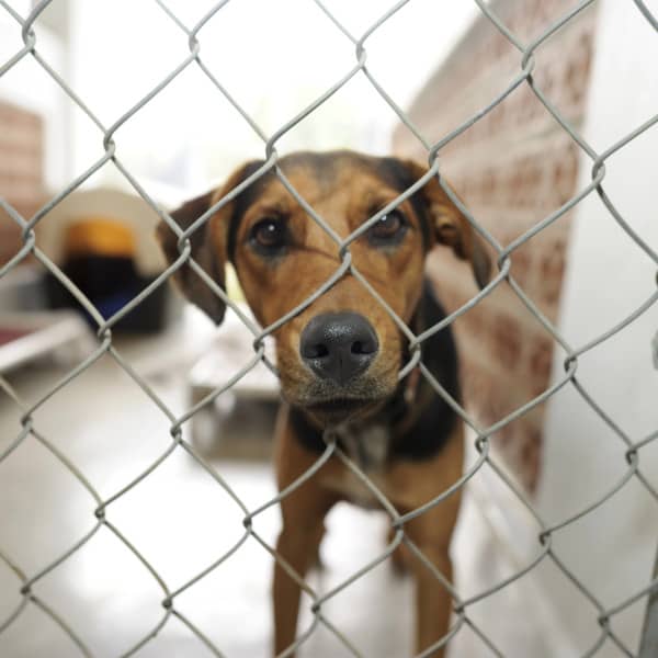 Zdjęcie ilustracyjne. Fot. Depositphotos.com