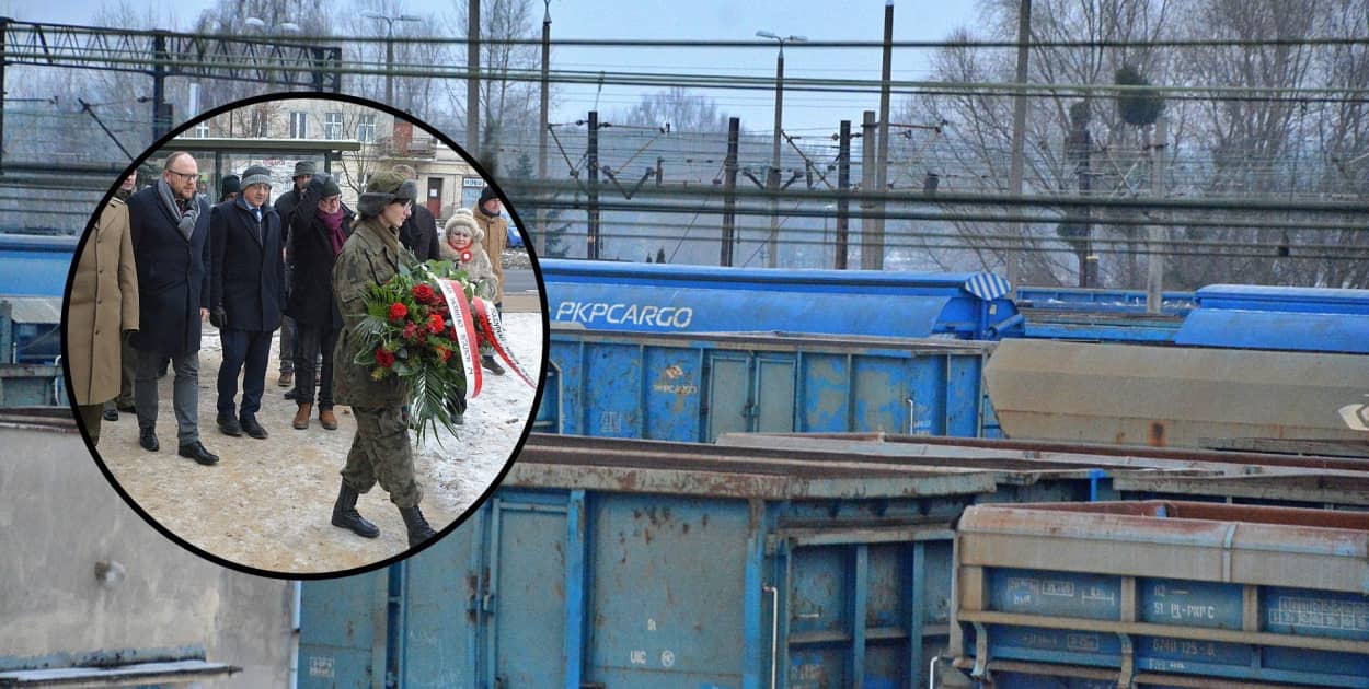 Fot. Daniel Wiśniewski