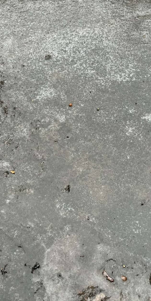 Fot: Weronika Polichnowska