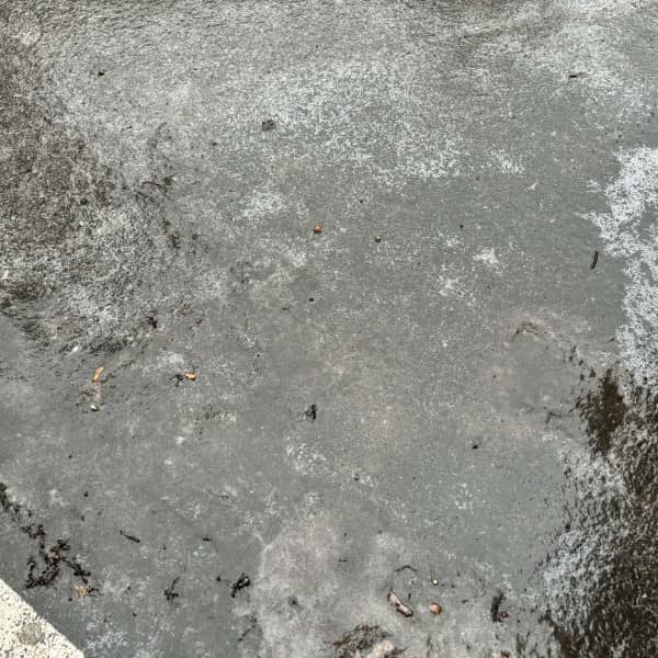 Fot: Weronika Polichnowska