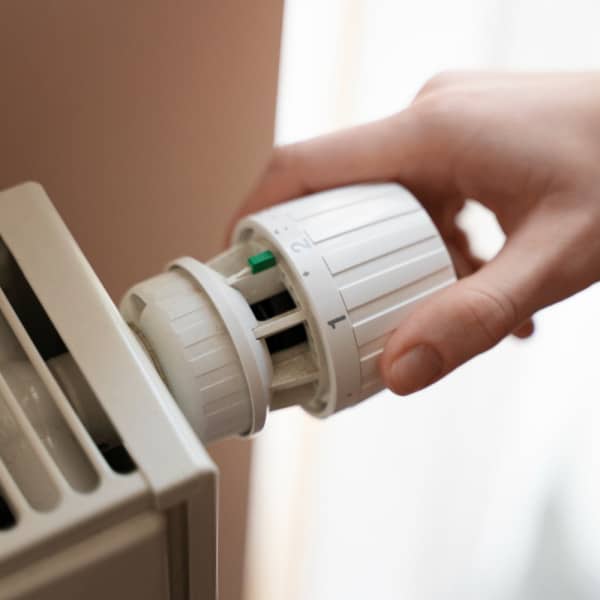 Obraz autorstwa freepik