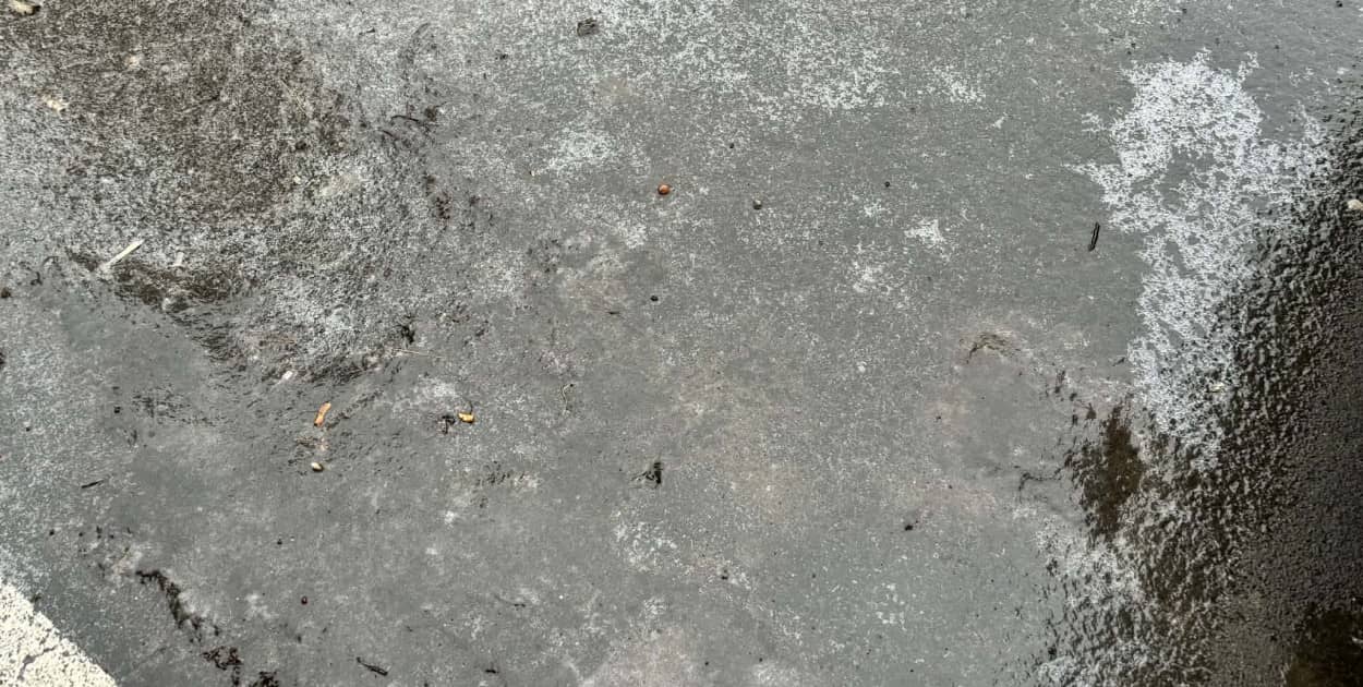 Fot: Weronika Polichnowska