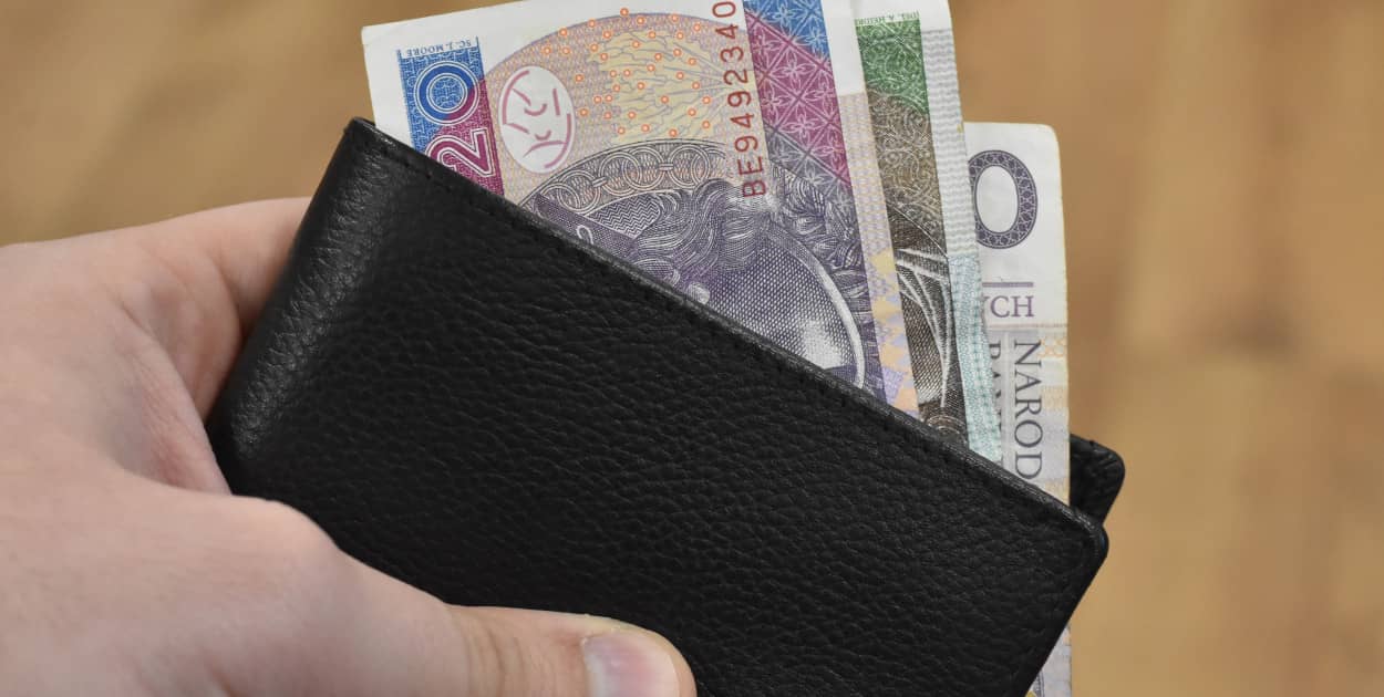 fot. Michał Osiecki | Sieć Portali.pl