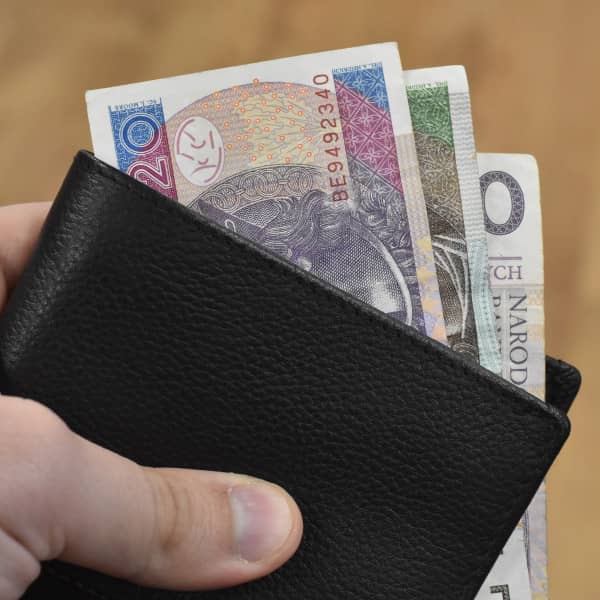 fot. Michał Osiecki | Sieć Portali.pl