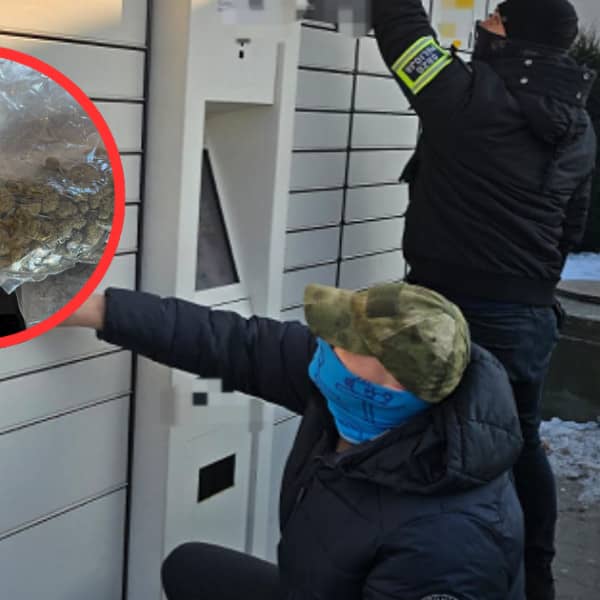 Fot: KPP w Chełmnie