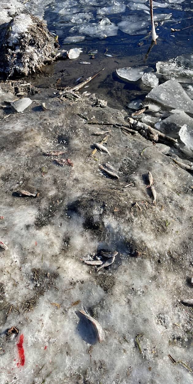 Fot. Daniel Wiśniewski