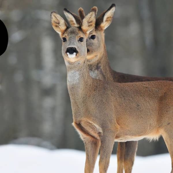 Zdjęcie ilustracyjne. Fot. Depositphotos.com