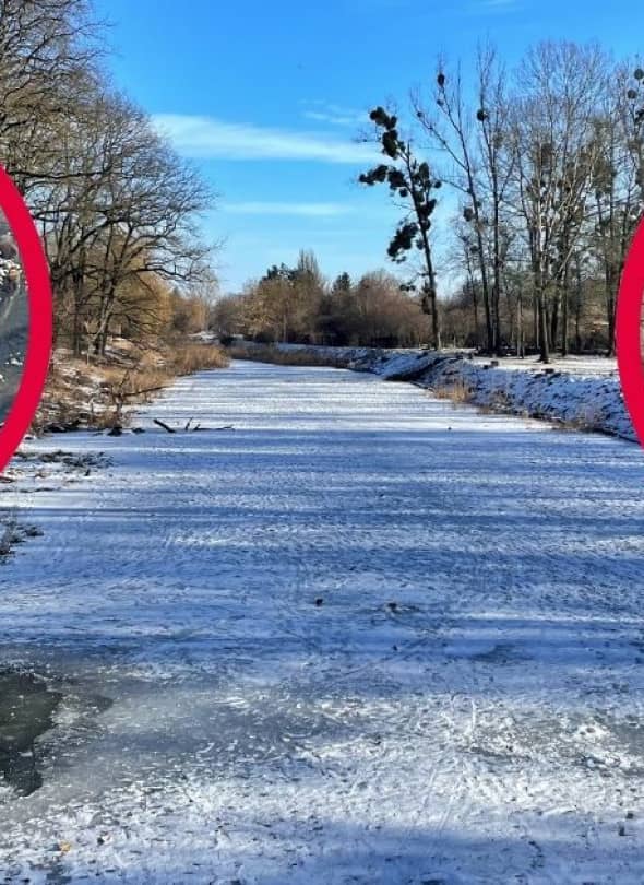 Fot. Daniel Wiśniewski