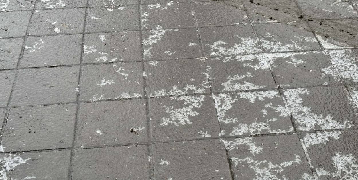 Fot: Weronika Polichnowska 