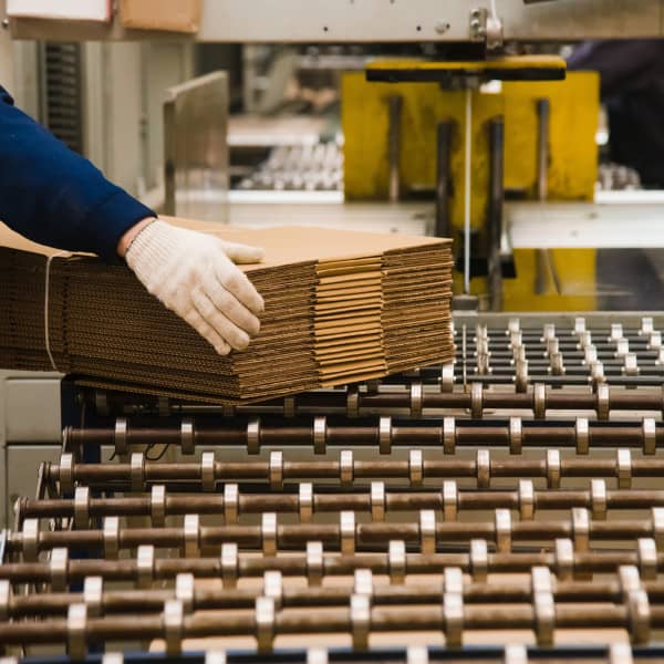 Zdjęcie ilustracyjne. Depositphotos