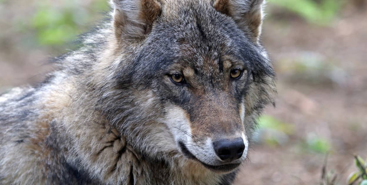 Zdjęcie ilustracyjne. Fot. Depositphotos.com