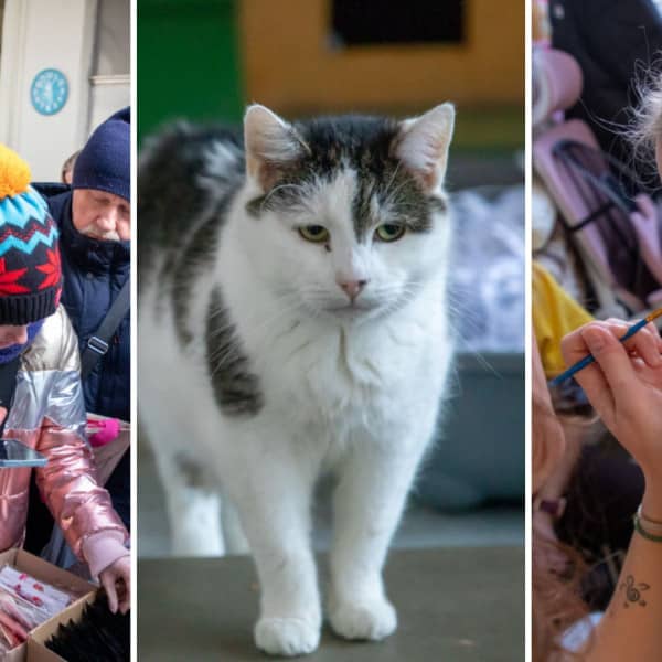 Fot. Agnieszka Bielecka