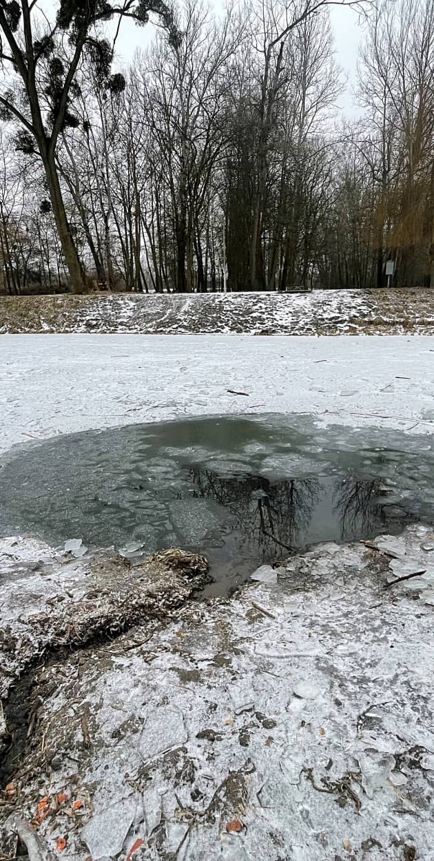 Fot. Daniel Wiśniewski